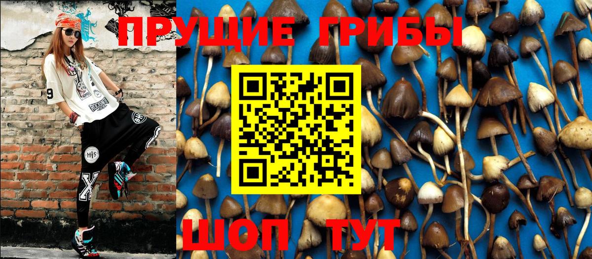 Галлюциногенные грибы Cubensis Анжеро-Судженск