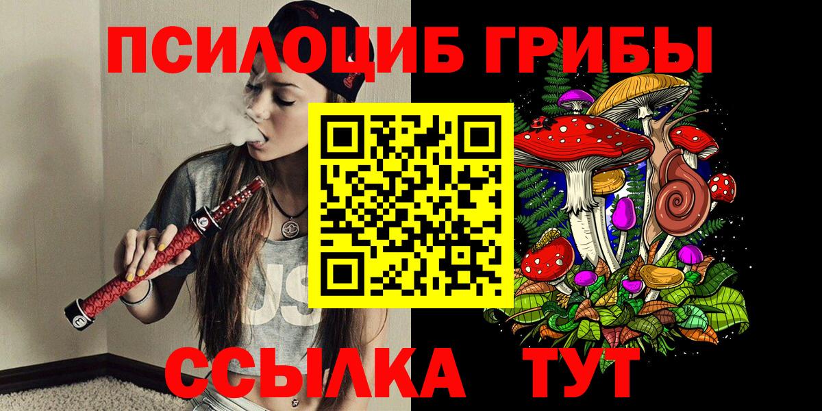 Галлюциногенные грибы Cubensis  купить закладку  Анжеро-Судженск  Вход с VPN  Псилоцибиновые грибы MAGIC MUSHROOMS 
